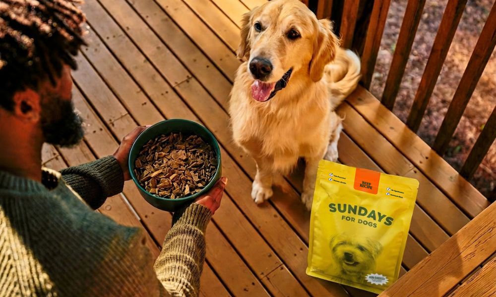 Golden retriever with a bowl of food and a bag of Sundays For Dogs