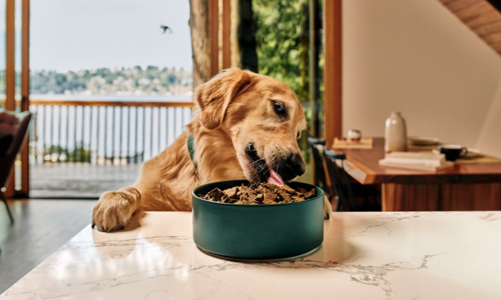 Sundays For Dogs sponsored creative showing dog food packaging